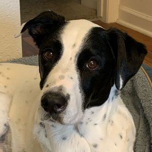 Meet your Posher, Gretchen